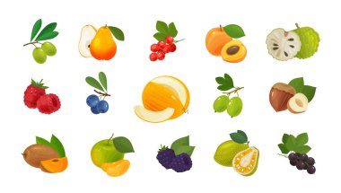 Fruits and berries, set of colored icons. Food concept. Vector illustration clipart