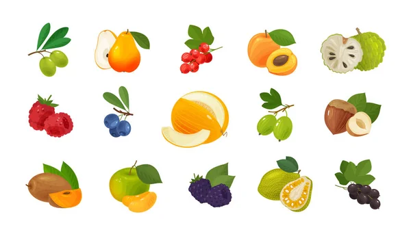 Frutas y bayas, conjunto de iconos de colores. Concepto de comida. Ilustración vectorial — Vector de stock