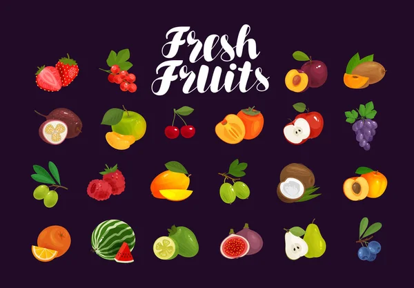 Φρούτα και τα μούρα, το σύνολο των εικονιδίων. Τροφίμων, οπωροπωλείου, αγρόκτημα έννοια. Εικονογράφηση διάνυσμα — Διανυσματικό Αρχείο