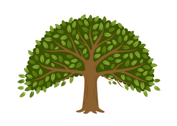 Árbol aislado sobre fondo blanco. Ilustración vectorial — Vector de stock