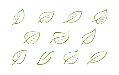 Natural green leaf logo. Nature, ecology icon or symbol vector