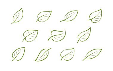 Natural green leaf logo. Nature, ecology icon or symbol vector clipart