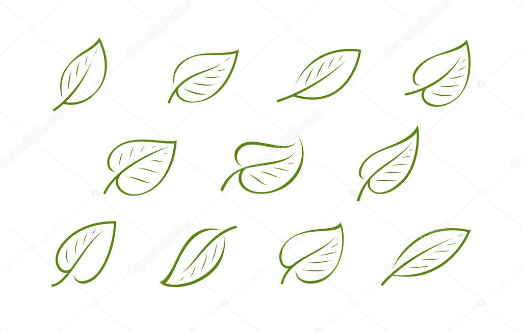 Natural green leaf logo. Nature, ecology icon or symbol vector