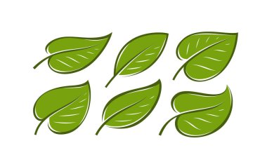 Abstract green leaf logo. Nature symbol or icon vector clipart
