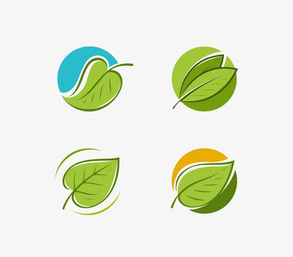 Leaf logo. Nature, eco symbol or label vector illustration — Stock Vector