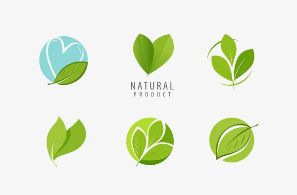 Λογότυπο φύλλου. Φύση, οικολογικό σύμβολο ή διάνυσμα εικονιδίου — Διανυσματικό Αρχείο