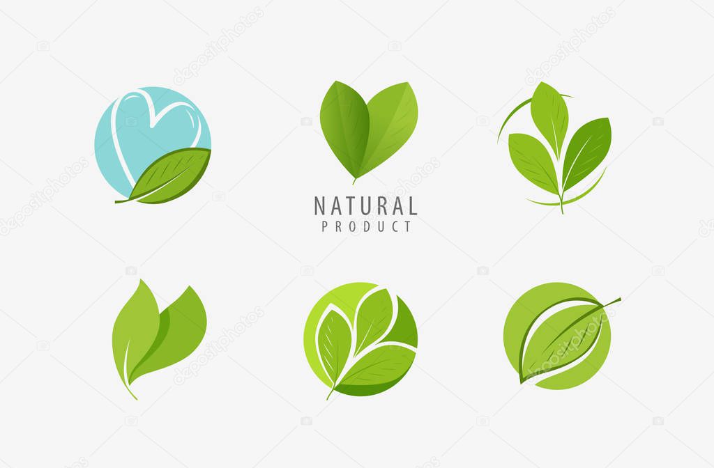 Leaf logo. Nature, eco symbol or label vector illustration