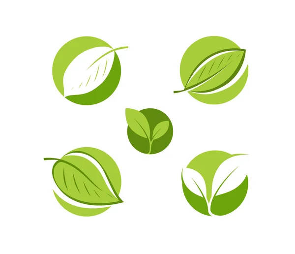 Logo du produit naturel. Symbole de feuille ou illustration vectorielle d'étiquette — Image vectorielle