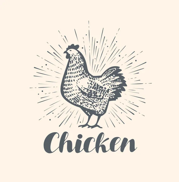 鶏のロゴやラベル。ファーム動物のスケッチヴィンテージベクトル — ストックベクタ