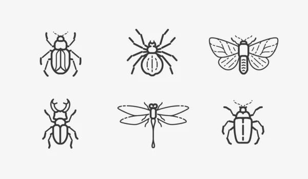 Conjunto Iconos Insectos Animales Ilustración Vectores Estilo Lineal — Archivo Imágenes Vectoriales