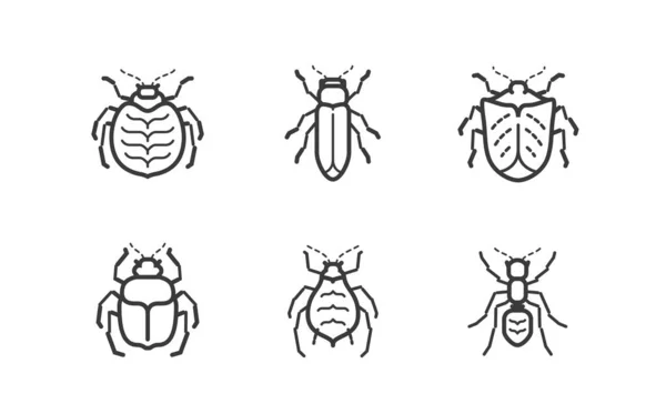 Insects Icon Set Vector Illustration Isolated White Background — Stock Vector