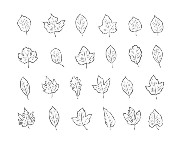 Folhas Set Sketch Ambiente Natureza Vetor Ilustração Isolado Fundo Branco — Vetor de Stock