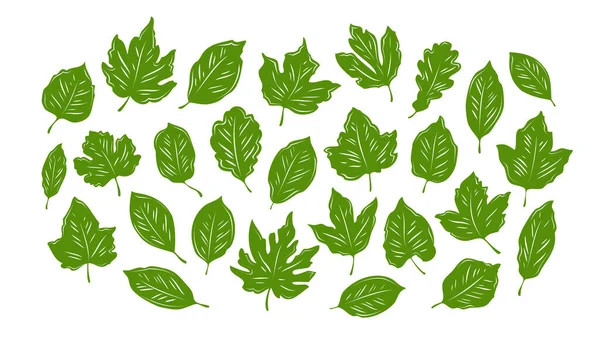Bladeren Klaar Natuur Milieu Ecologie Vector Illustratie Geïsoleerd Witte Achtergrond — Stockvector