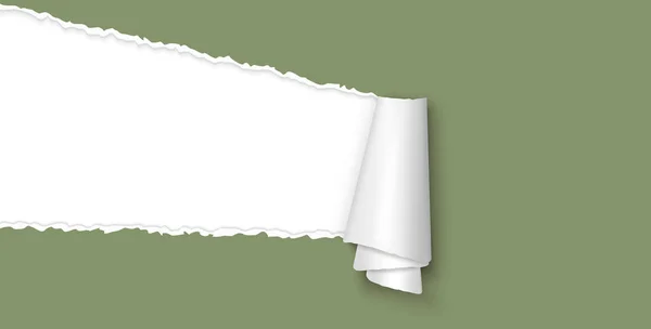 Papier ouvert déchiré avec espace pour le texte — Image vectorielle