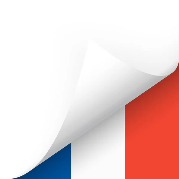Coin inférieur avec le drapeau du pays de France — Image vectorielle