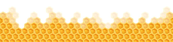 Sömlös honung kam bakgrund — Stock vektor