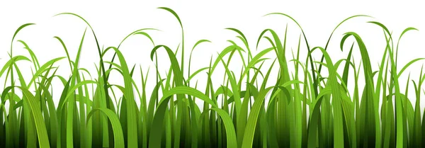 Eps Векторный Файл Шаблона Бесшовной Панорамы Зеленая Летняя Трава Нижней — стоковый вектор