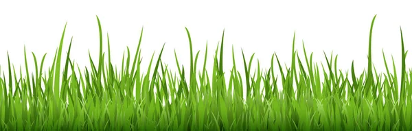 Eps Vector Background Template File Seamless Panorama Green Grass Lower — 스톡 벡터