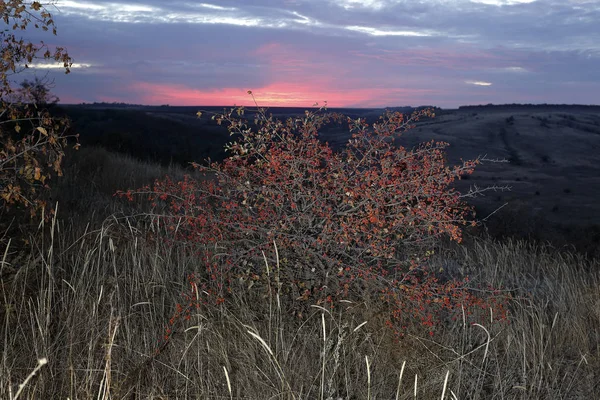 La lueur au coucher du soleil . — Photo