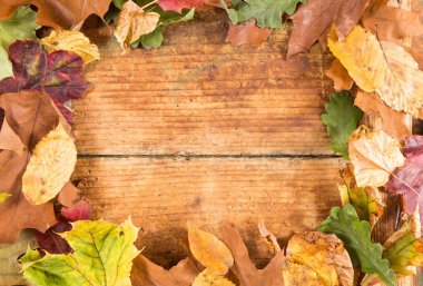 Eski rustik ahşap sonbahar yaprakları çerçeve