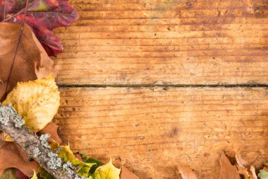 Yarısı eski yaşlı ahşap çerçeve düşmek