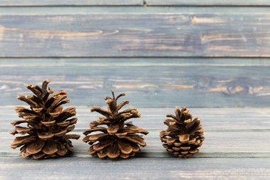 Mavi ahşap arka plan üzerinde üç çam kozalakları