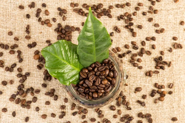 Frasco transparente de grãos de café — Fotografia de Stock