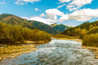 Karpatlar siyah Çeremoş Nehri