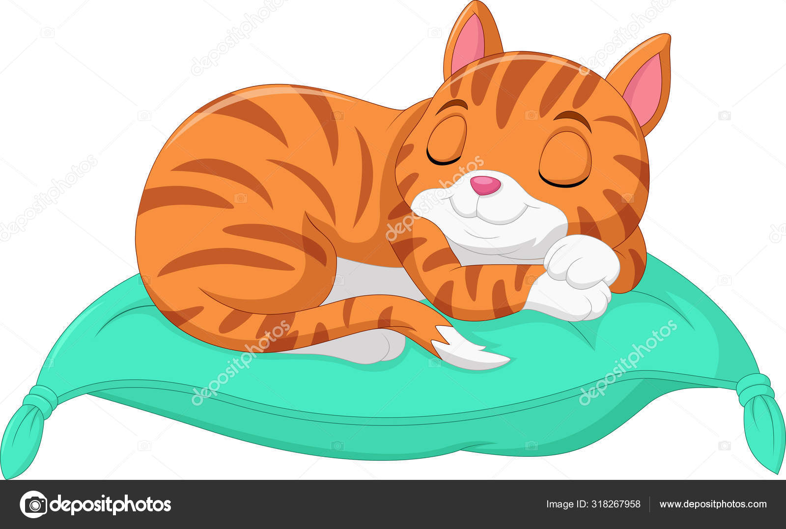 cat nap pillow