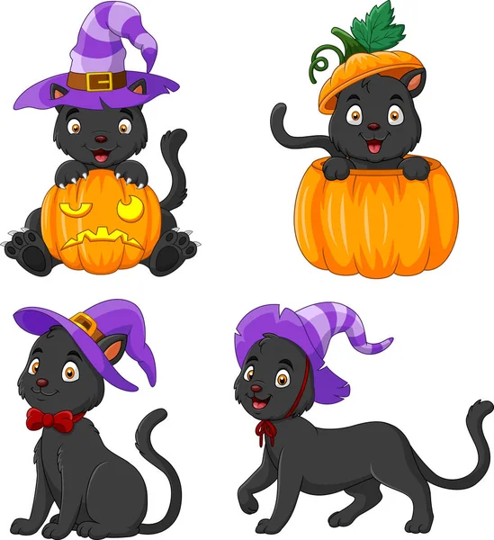 Schwarze Katzensammlung Mit Kürbis — Stockvektor