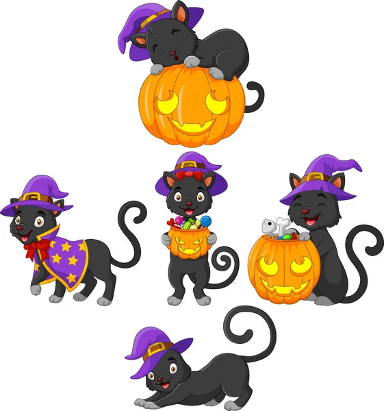 Black Cat Collection Pumpkin — Stock Vector