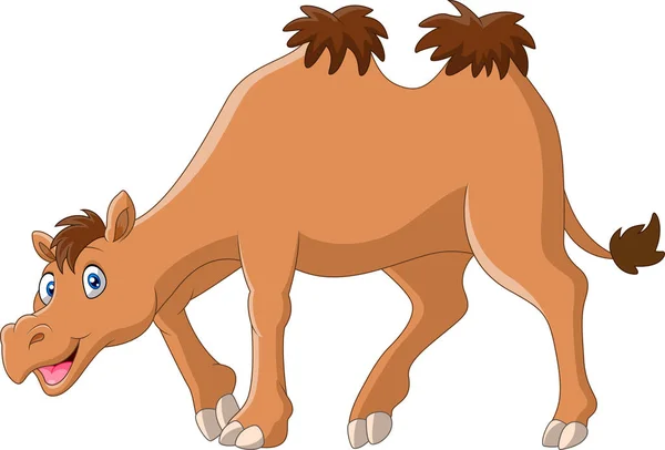 Dibujos Animados Divertido Camello Sonrisa Pie — Archivo Imágenes Vectoriales