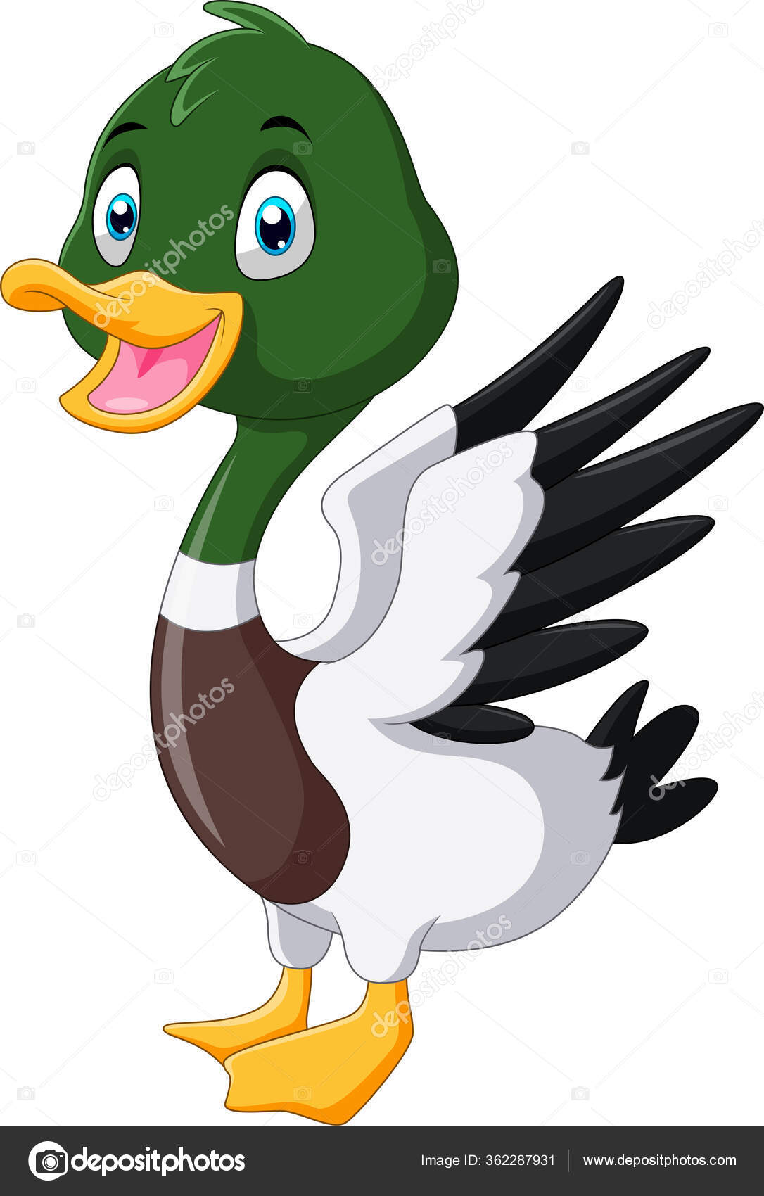 Cute Cartoon Mallard Duck Smile Stock Vector Image by ©idesign2000  #362287931