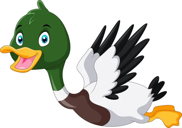 Cute Cartoon Mallard Duck Flying — Stock Vector