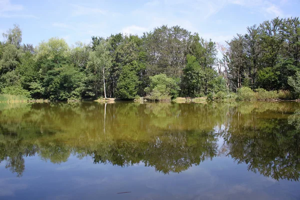 Spiegelungen im Wasser — Stockfoto