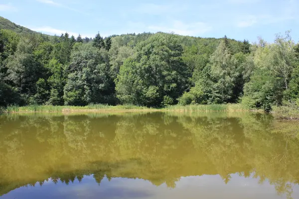 Reflexões na água — Fotografia de Stock