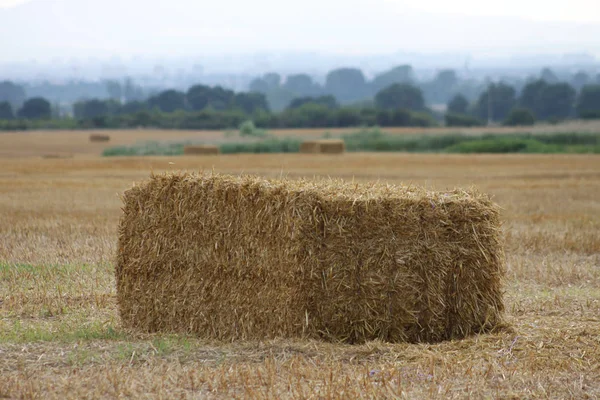 Сельская сцена с полем и сеном — стоковое фото