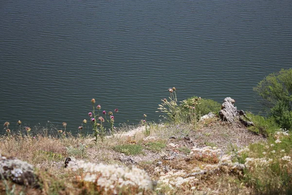 Lago Pchelina na Bulgária — Fotografia de Stock