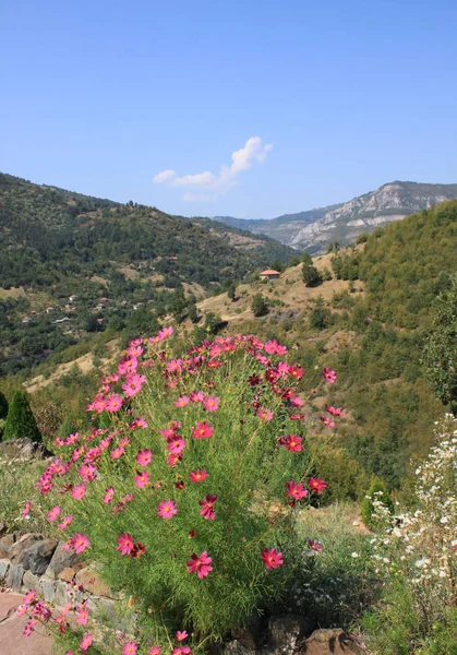 The gorge of the river Iskar — Stock Photo, Image