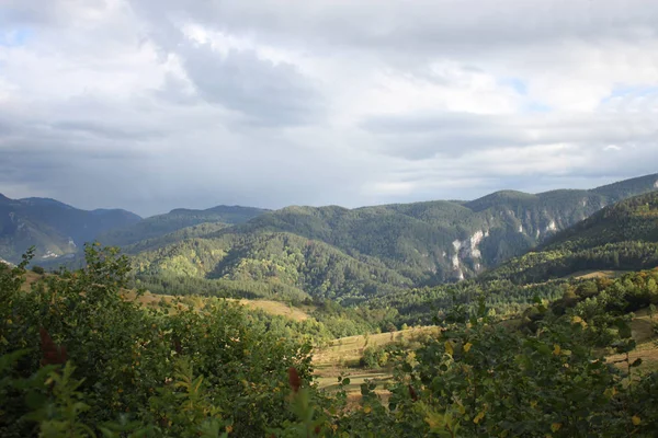 Горы Родопи — стоковое фото