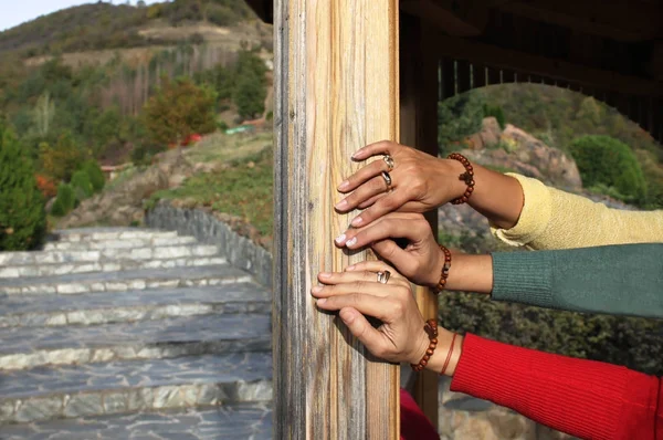 Closeup women's hands — Stock Photo, Image