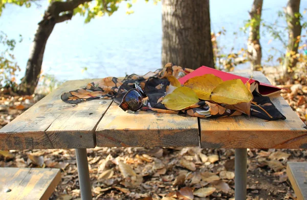 Escena Otoño Bosque Con Libro Lago Como Fondo Elementos — Foto de Stock