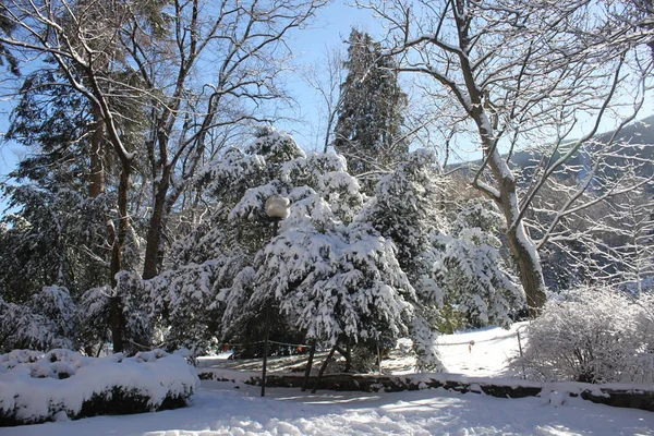 Paisaje Invernal Las Montañas Bulgaria —  Fotos de Stock