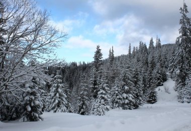 Rila Dağı, Bulgaristan, genel görünümünde kış manzarası