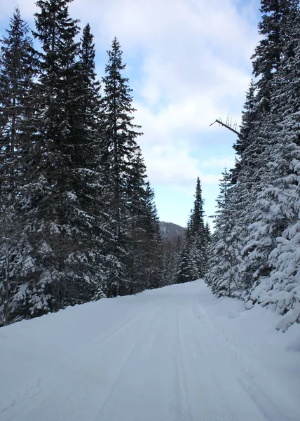 Winter landscape in Rila mountain, Bulgaria, general view