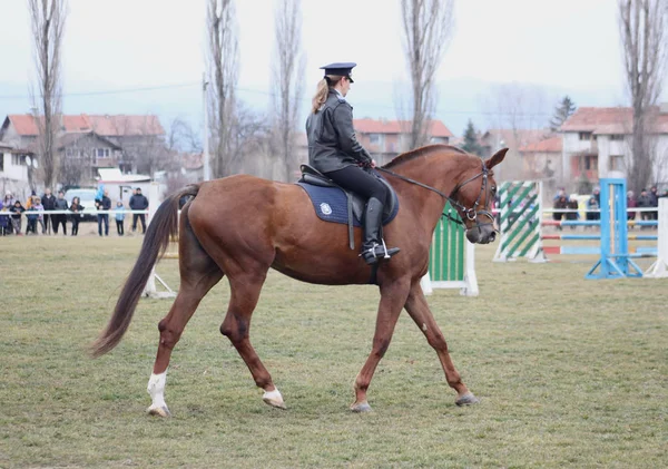 Pâques Cheval Jour Todor Bulgarie Célébrée Premier Samedi Grand Carême — Photo