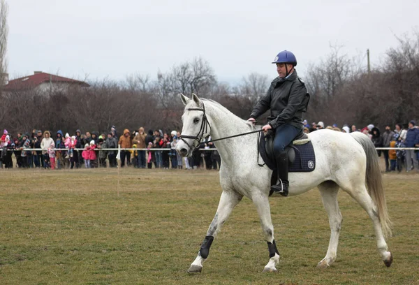 Horse Easter Day Todor Bulgaria Celebrated First Saturday Great Lent — Stock Photo, Image