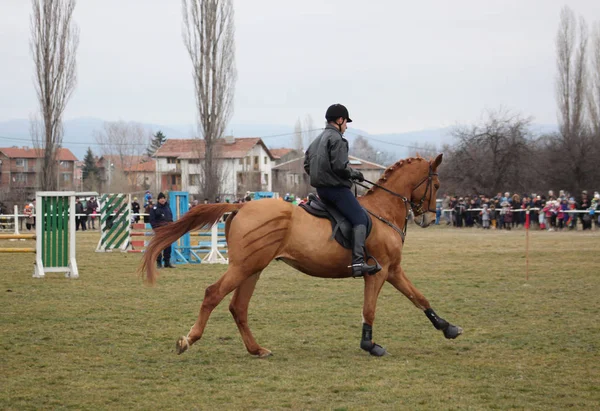 Pasqua Cavallo Giorno Todor Bulgaria Celebrato Primo Sabato Della Grande — Foto Stock