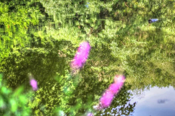 Landschap Van Zomer Bergen Met Een Meer — Stockfoto