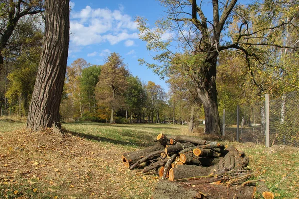 Herbstliche Landschaft Bunten Wald — Stockfoto